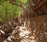 Konso gentis
