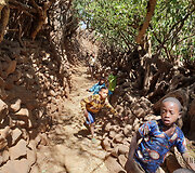 Konso gentis