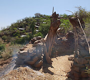 Konso gentis
