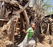 Konso gentis