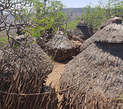Konso gentis