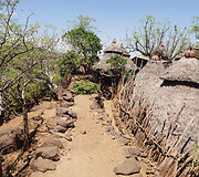 Konso gentis