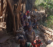 Konso gentis