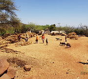 Konso gentis