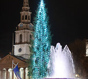 Eglė Trafalgaro aik&scaron;tėje