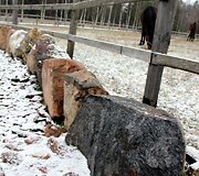 Jono ir Birutės Baltakių sodyba