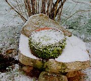 Jono ir Birutės Baltakių sodyba