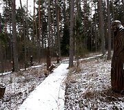  &Scaron;arki&scaron;kių skulptūrų takai