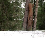  &Scaron;arki&scaron;kių skulptūrų takai