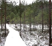  &Scaron;arki&scaron;kių skulptūrų takai