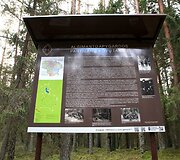 Algimanto apygardos partizanų kovos takais