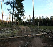Algimanto apygardos partizanų kovos takais