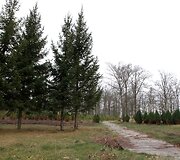 Kiemelių rekreacinis takas