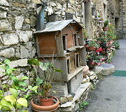 Cenova