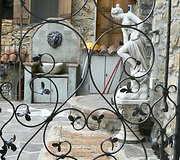 Cenova