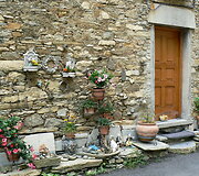 Cenova