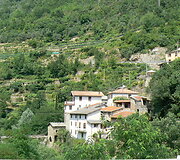 Lavina 