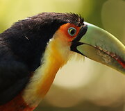 &bdquo;1000 wow&ldquo; kelionė