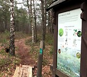 Velniabliūdžio gamtos takas
