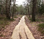 Velniabliūdžio gamtos takas