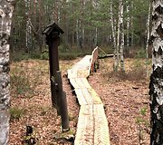 Velniabliūdžio gamtos takas