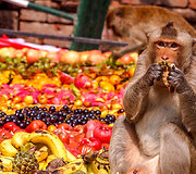 Monkey Buffet festivalis Singapūre