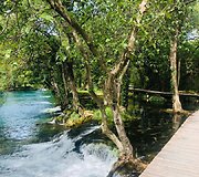 Elinos gyvenimas Kroatijoje