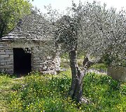 Elinos gyvenimas Kroatijoje