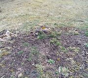 Motociklais i&scaron;važinėtas Kudinų piliakalnis ir jo apylinkės