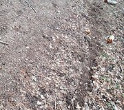 Motociklais i&scaron;važinėtas Kudinų piliakalnis ir jo apylinkės