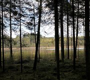 Vainagių mi&scaron;ko pažintinis takas