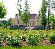 Chaimo Frenkelio vilos rožynas