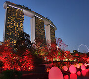 Singapūre