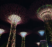 Singapūre