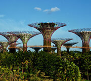 Singapūre
