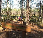 Pakeliui Zackagirio pažintiniu taku