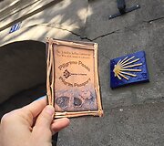 Piligrimo pasas
