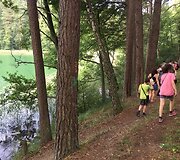 Žaliasis pažintinis takas