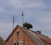 Zabrost Wielki