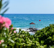 Alexander Beach