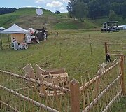 Kartenos festivalis