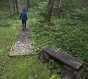 Paliesiaus dvaro pažintinis sveikatingumo takas