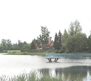 Pelėdnagiai 