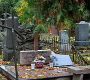 Ankstesnių audrų padariniai Bernardinų kapinėse