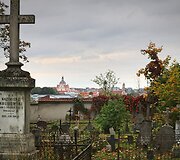 Bernardinų kapinėse kertami medžiai