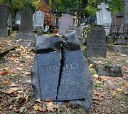 Bernardinų kapinėse kertami medžiai