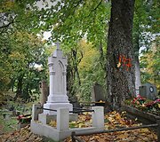 Bernardinų kapinėse kertami medžiai