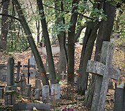 Bernardinų kapinėse kertami medžiai