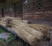 Nendrių ry&scaron;uliai paruo&scaron;ti dengimui. R. Guigos nuotrauka