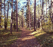 Ignalina